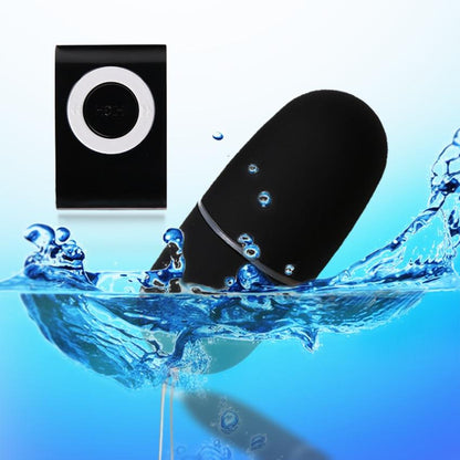 Playful Vibes | Mp3 Remote Control Vibrating Egg